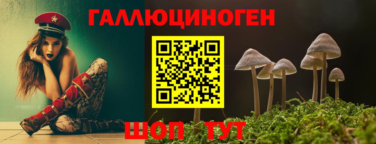 Кунгур  Галлюциногенные грибы Psilocybe  Псилоцибиновые грибы Psilocybine cubensis  Вход с VPN 